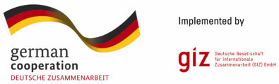 GIZ logo updated